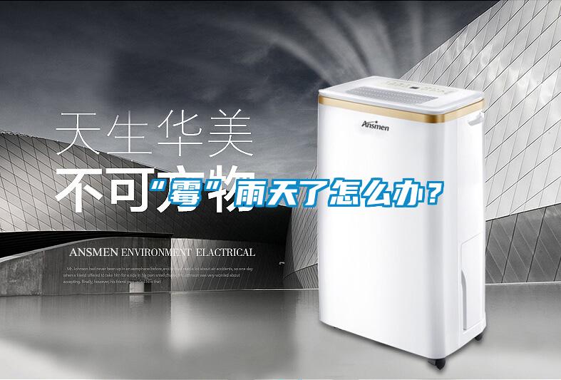 “霉”雨天了怎么办?