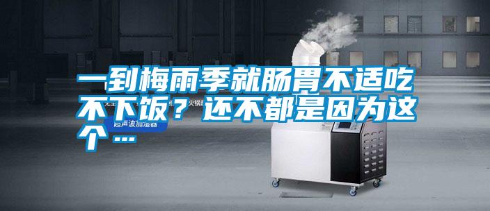 一到梅雨季就肠胃不适吃不下饭？还不都是因为这个…