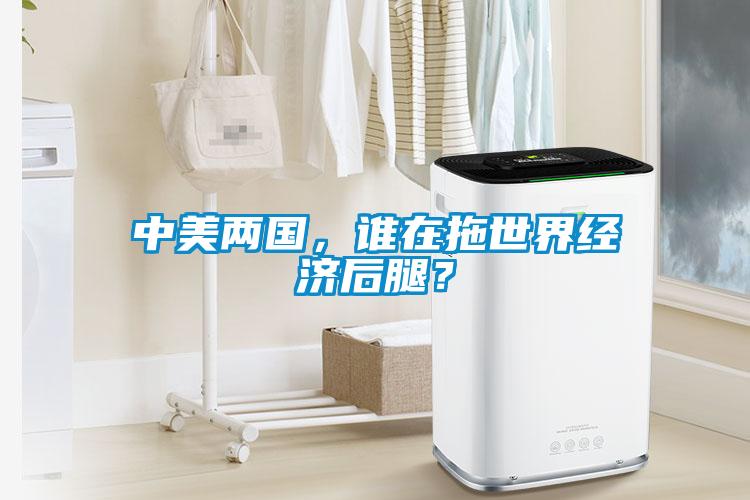 中美两国，谁在拖世界经济后腿？