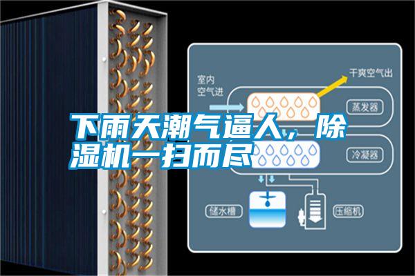 下雨天潮气逼人，除湿机一扫而尽