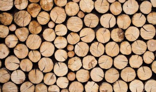 木材烘干除湿机哪个牌子好，怎么选择