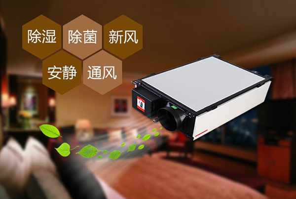 如何预防办公室装修后的防潮问题？