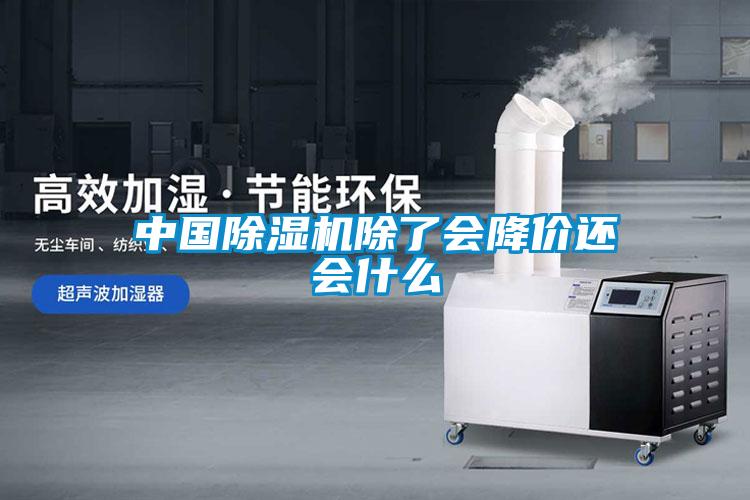 中国除湿机除了会降价还会什么