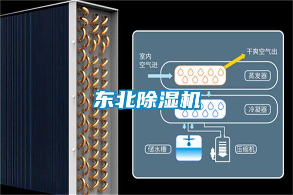 东北除湿机