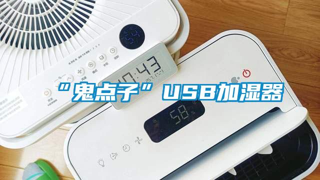 “鬼点子”USB加湿器
