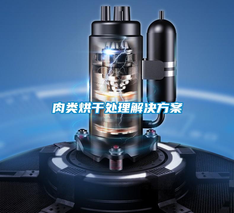 肉类烘干处理解决方案