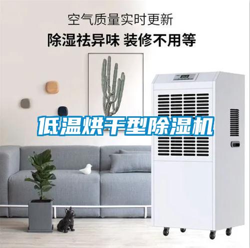 低温烘干型除湿机