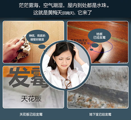 家庭别墅的地下室、卫生间、储物室等该如何除湿？