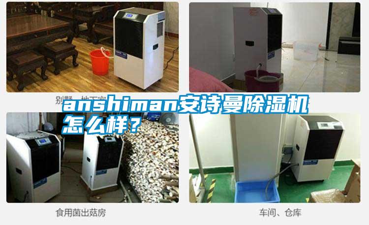 anshiman安诗曼除湿机怎么样?