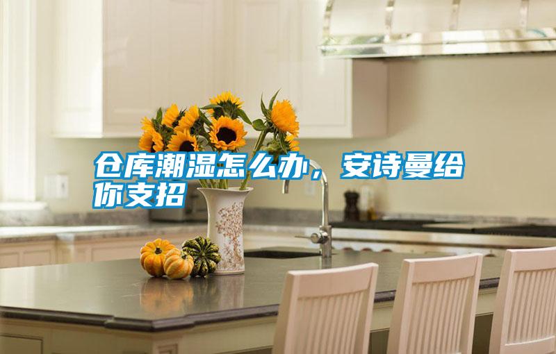 仓库潮湿怎么办，安诗曼给你支招