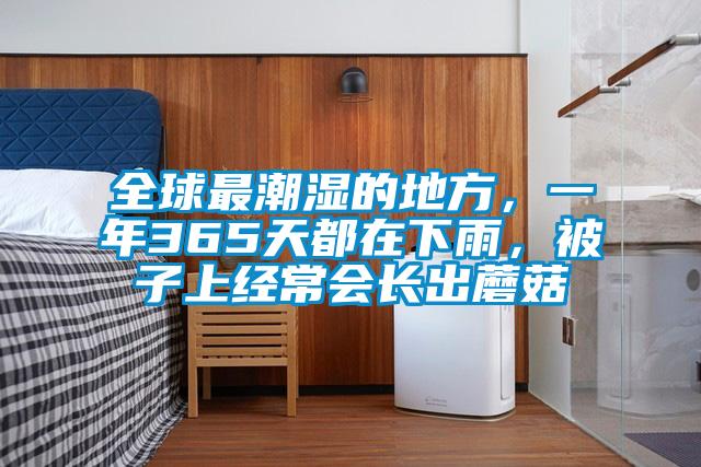 全球最潮湿的地方，一年365天都在下雨，被子上经常会长出蘑菇