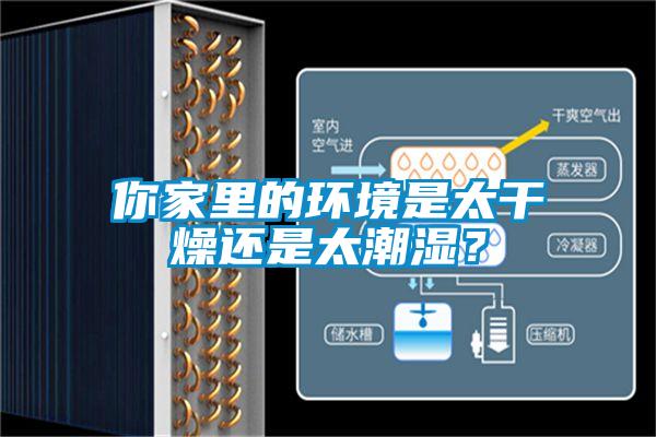 你家里的环境是太干燥还是太潮湿？