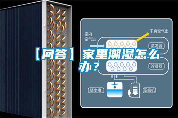 【问答】家里潮湿怎么办？