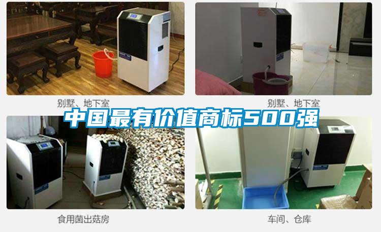 中国最有价值商标500强