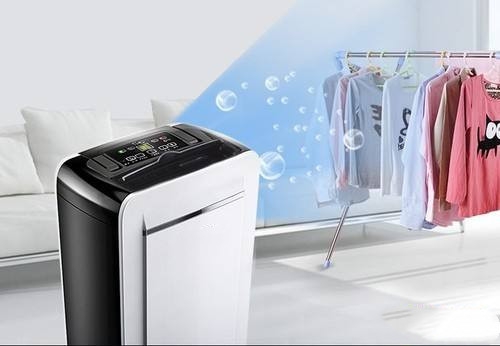 狗狗得了皮肤病，真凶竟是回南天？！