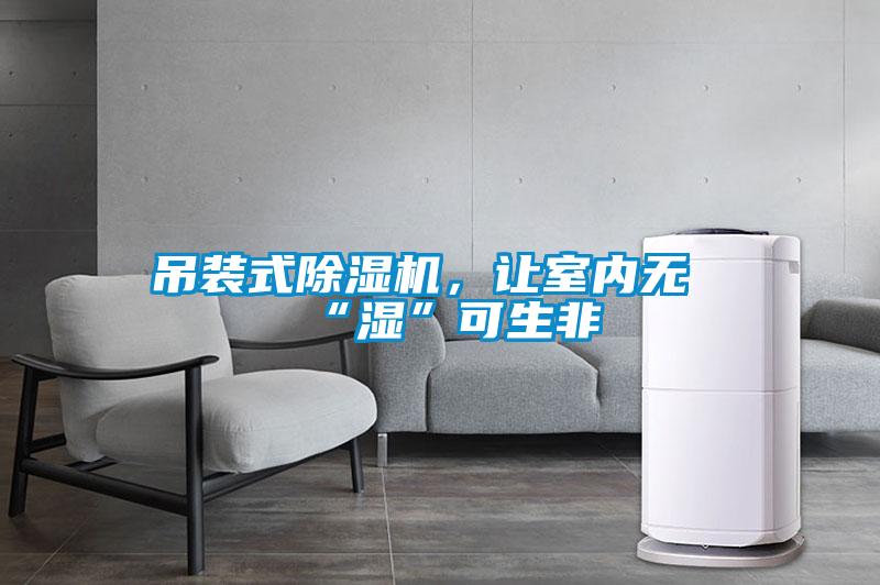 吊装式除湿机，让室内无“湿”可生非