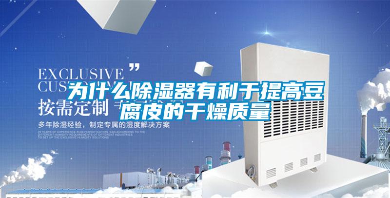 为什么除湿器有利于提高豆腐皮的干燥质量