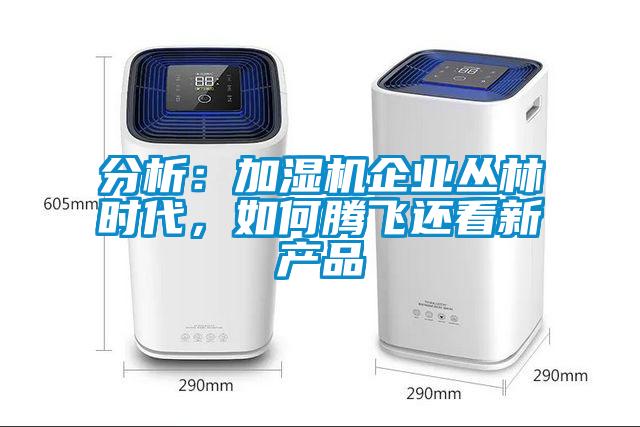 分析：加湿机企业丛林时代，如何腾飞还看新产品