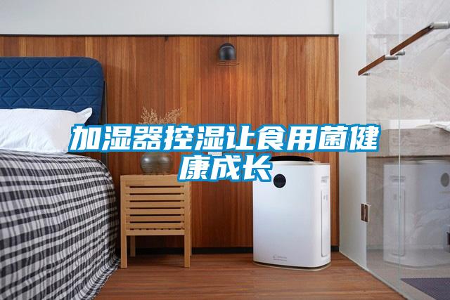 加湿器控湿让食用菌健康成长