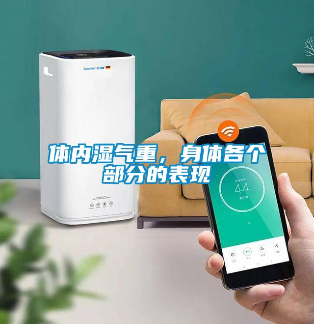 体内湿气重，身体各个部分的表现