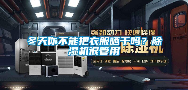 冬天你不能把衣服晒干吗？除湿机很管用
