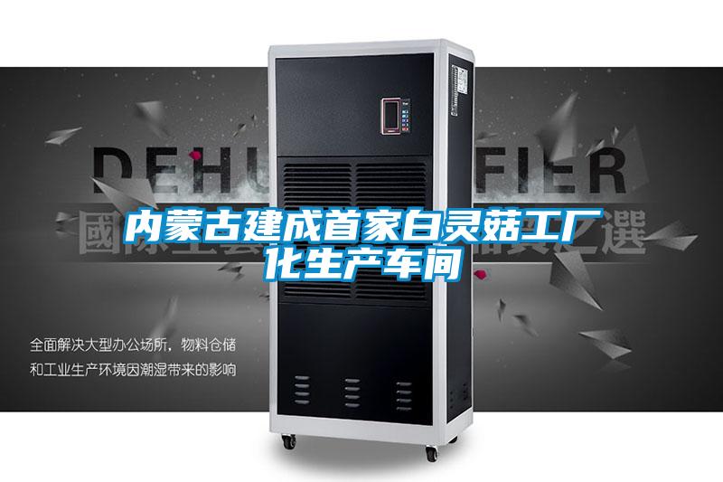 内蒙古建成首家白灵菇工厂化生产车间