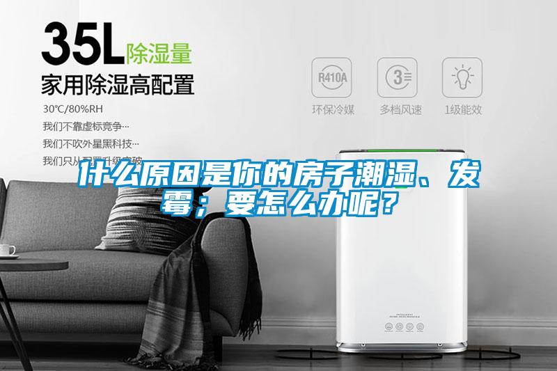 什么原因是你的房子潮湿、发霉；要怎么办呢？
