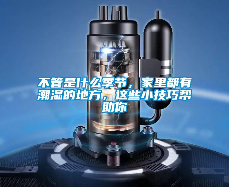 不管是什么季节，家里都有潮湿的地方，这些小技巧帮助你