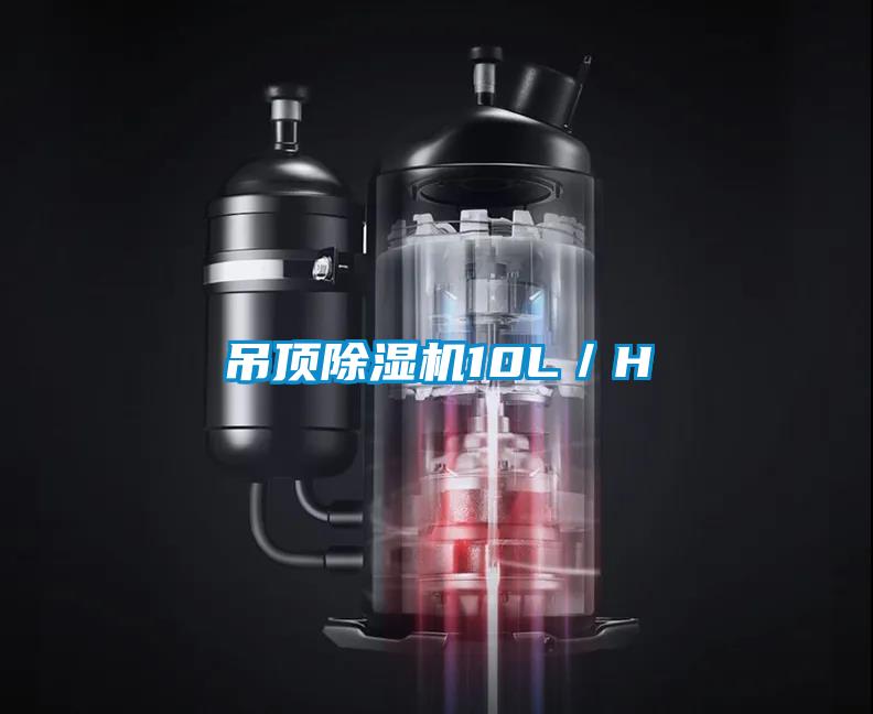 吊顶除湿机10L／H