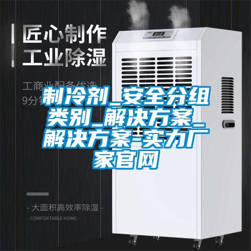 制冷剂_安全分组类别_解决方案_解决方案-实力厂家官网