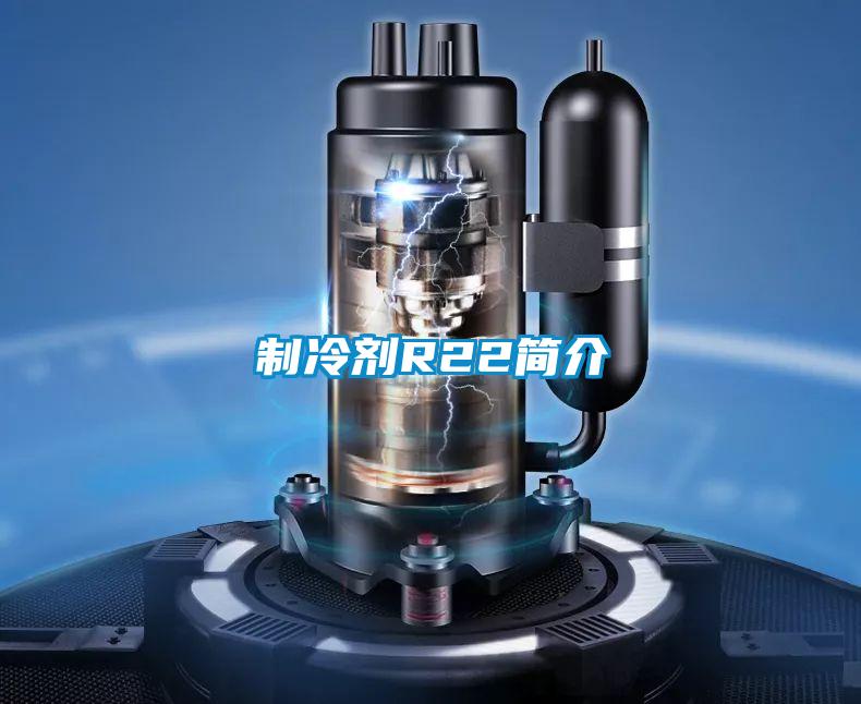制冷剂R22简介