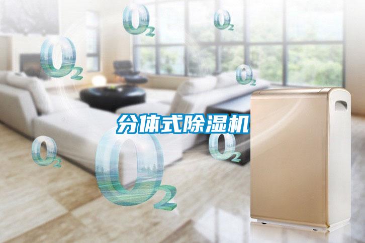 分体式除湿机
