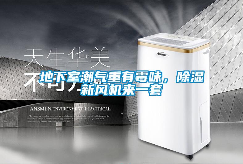 地下室潮气重有霉味，除湿新风机来一套