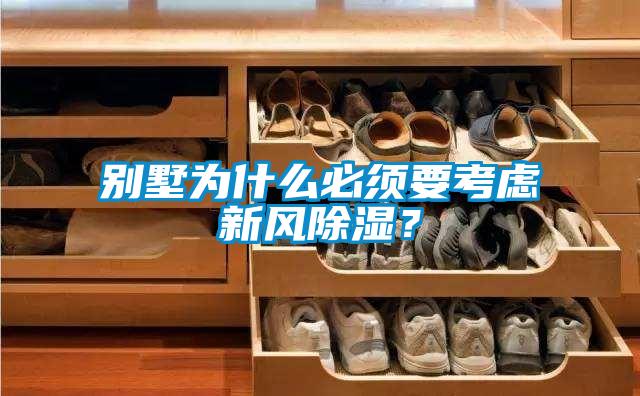 别墅为什么必须要考虑新风除湿？