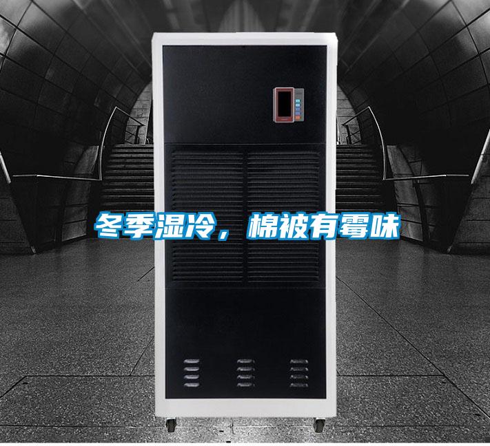 冬季湿冷，棉被有霉味