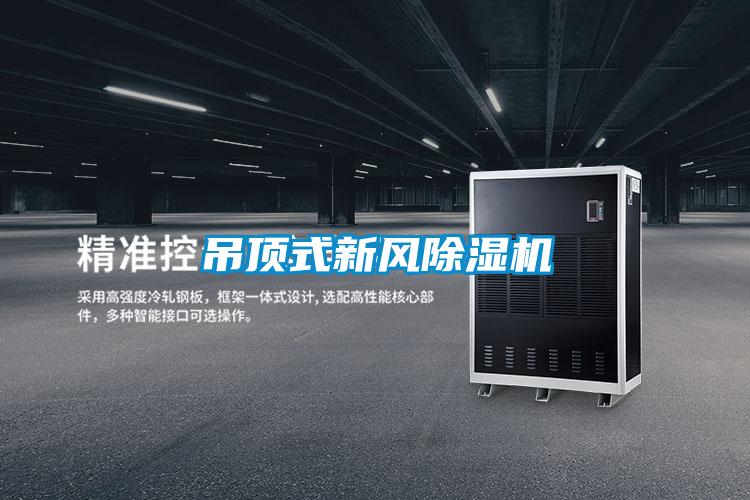 吊顶式新风除湿机