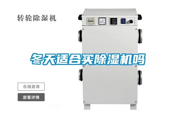 冬天适合买除湿机吗