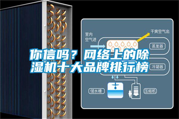 你信吗？网络上的除湿机十大品牌排行榜