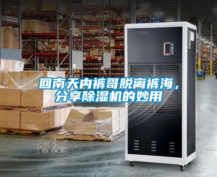 回南天内裤哥脱离裤海，分享除湿机的妙用