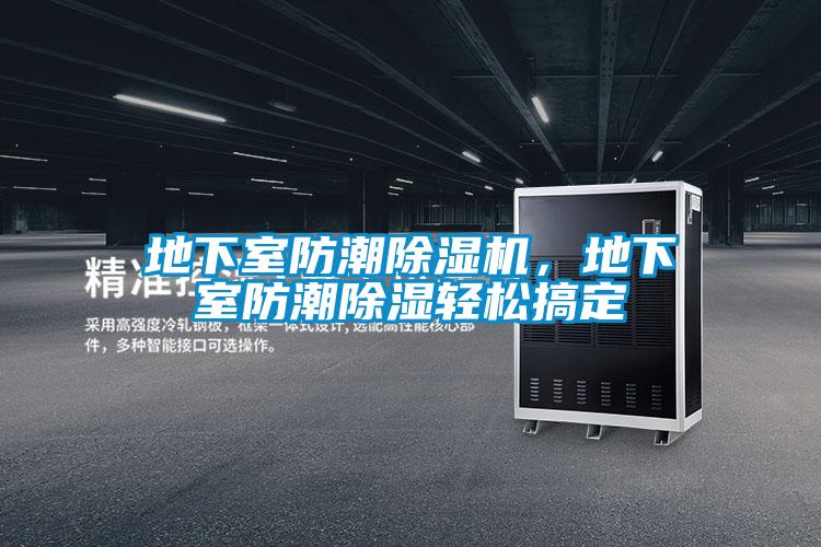 地下室防潮除湿机，地下室防潮除湿轻松搞定