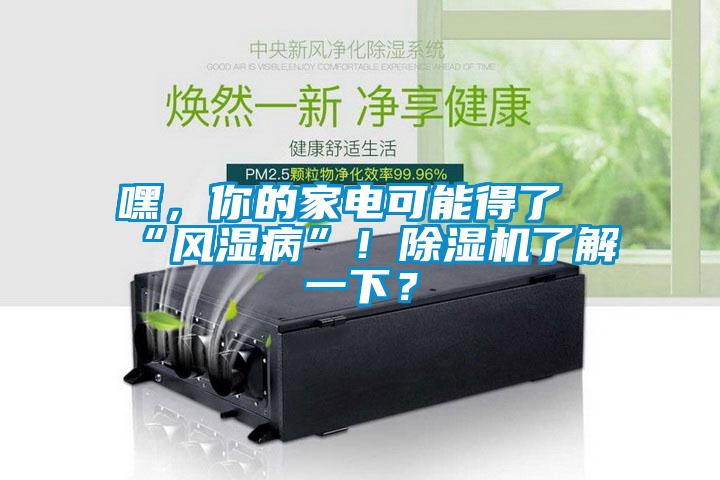 嘿，你的家电可能得了“风湿病”！除湿机了解一下？