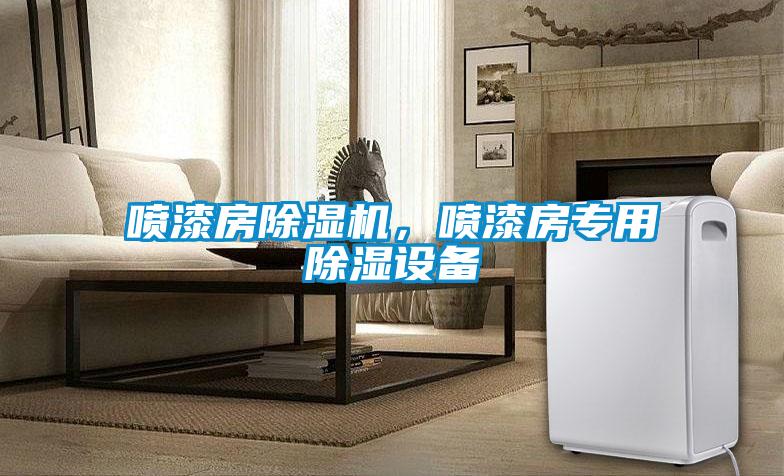 喷漆房除湿机，喷漆房专用除湿设备