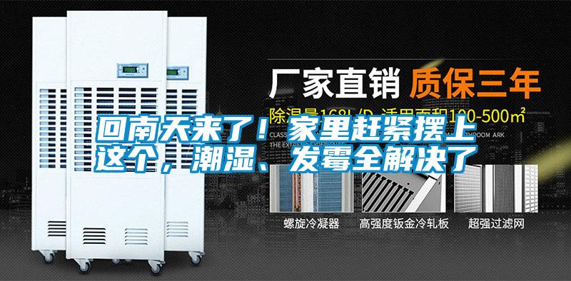 回南天来了！家里赶紧摆上这个，潮湿、发霉全解决了