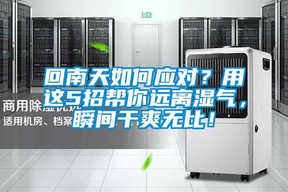 回南天如何应对？用这5招帮你远离湿气，瞬间干爽无比！