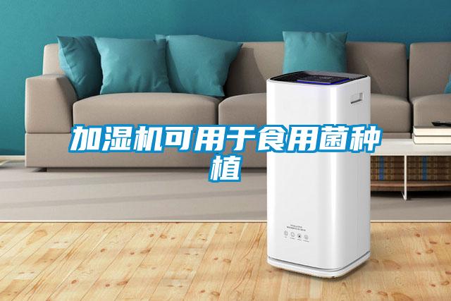 加湿机可用于食用菌种植