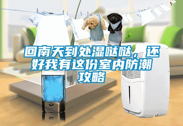 回南天到处湿哒哒，还好我有这份室内防潮攻略