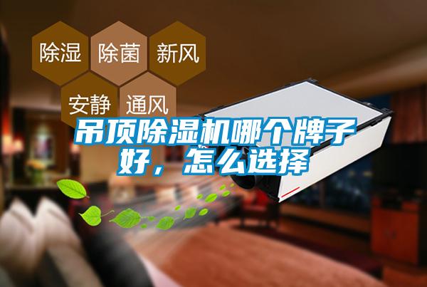吊顶除湿机哪个牌子好，怎么选择