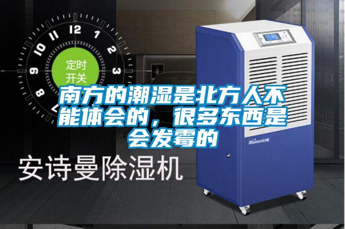 南方的潮湿是北方人不能体会的，很多东西是会发霉的
