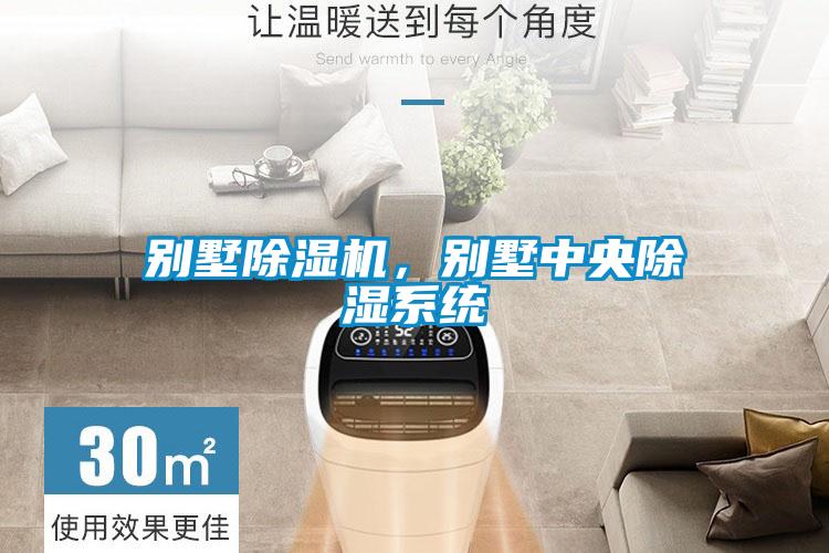 别墅除湿机，别墅中央除湿系统