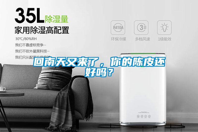 回南天又来了，你的陈皮还好吗？